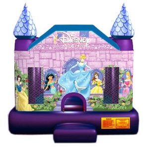 Disney Princess Castle